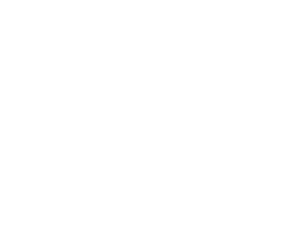 Jelly Shoes