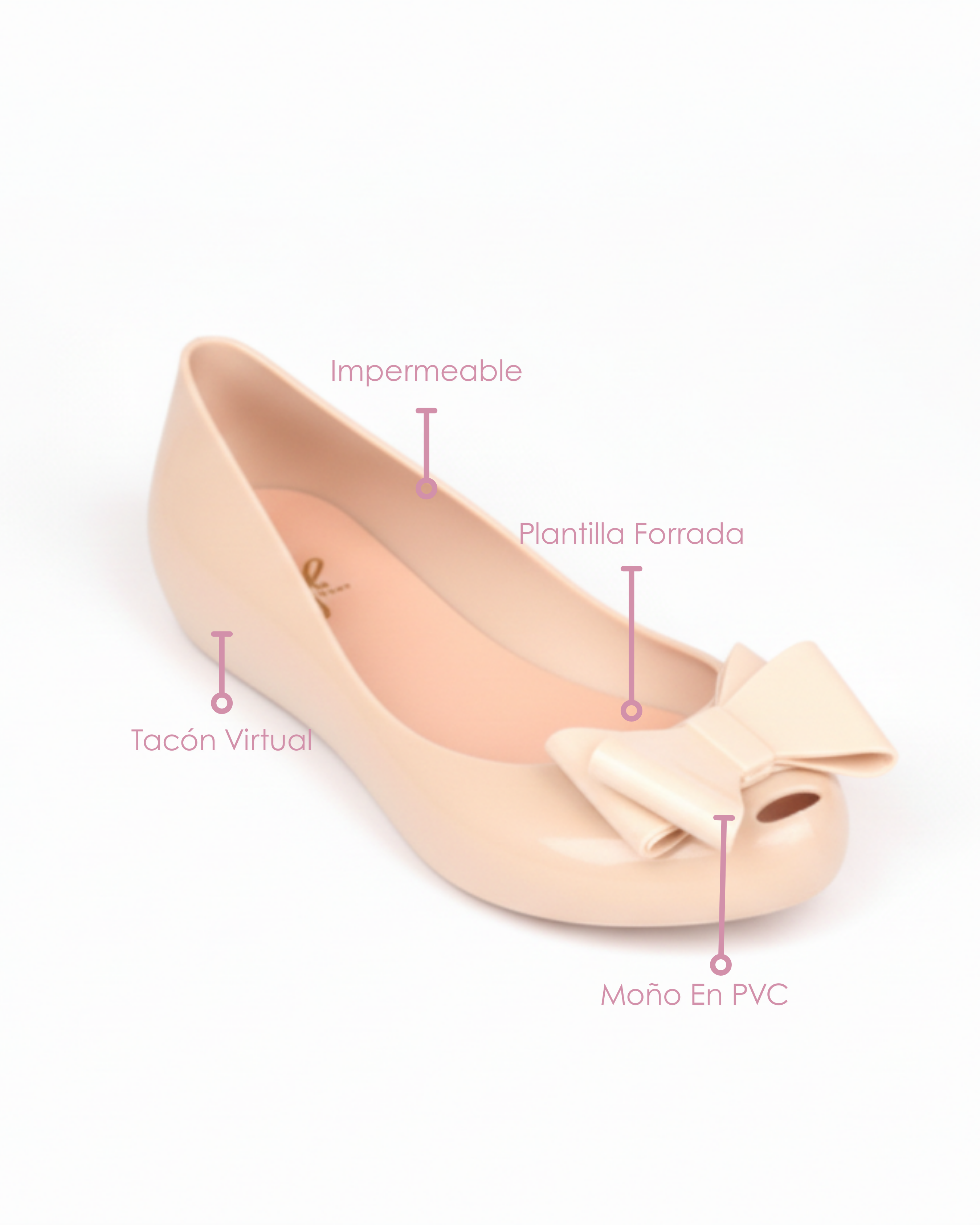 Baletas Gabriela Lazo